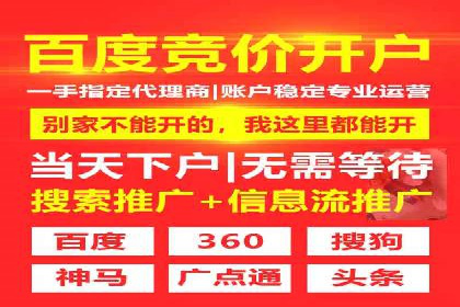 实战经验：SEM网络推广打造行业领军品牌